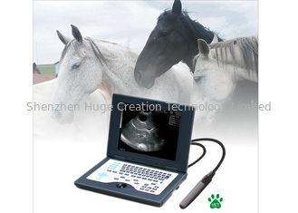 China CLS5800 laptop het Veterinaire Volledige Digitale Ultrasone Kenmerkende Systeem van de Ultrasone klankscanner leverancier