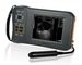 De zwart-wit Scanner van de Vertonings Veterinaire Ultrasone klank L60 met 32 Digitale Kanalen leverancier