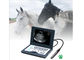 CLS5800 laptop het Veterinaire Volledige Digitale Ultrasone Kenmerkende Systeem van de Ultrasone klankscanner leverancier